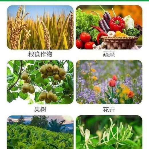 Sakofu compound fertilizer, wheat, corn flower fertilizer, general agricultural flower, grass, pea, fruit tree and rice fertilizer, 100Jin Jin is equal to 0.5kg