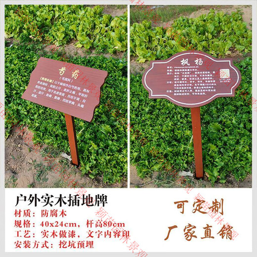 Customized solid wood Chinese herbal medicine brand introduction card, plant introduction card, ground brand, flower variety brand, tree science brand, style-14 (customizable content) 20.00x30.00cm