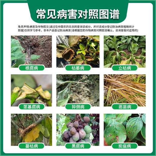 Metalaxylin root rot special medicine soil special disinfectant fungicide pesticide Fusarium wilt stem rot 12kg (1kg * 12 bottles) large quantity and good price