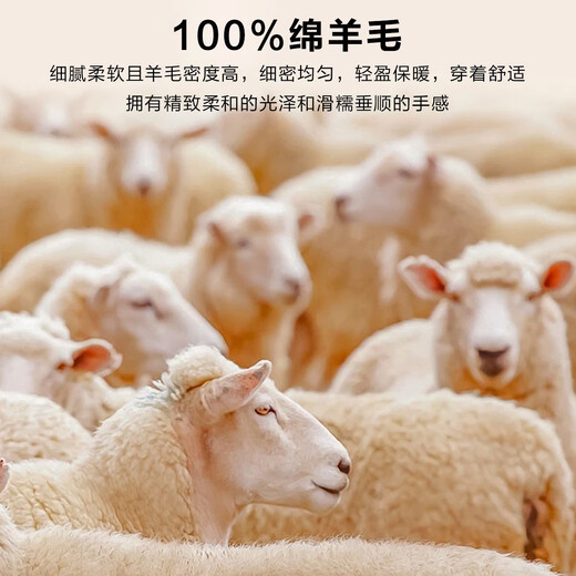 Bosssunwen thickened velvet recommended for winter, skin-friendly and warm solid color bottoming shirt, exquisite embroidery men's woolen sweater, black L