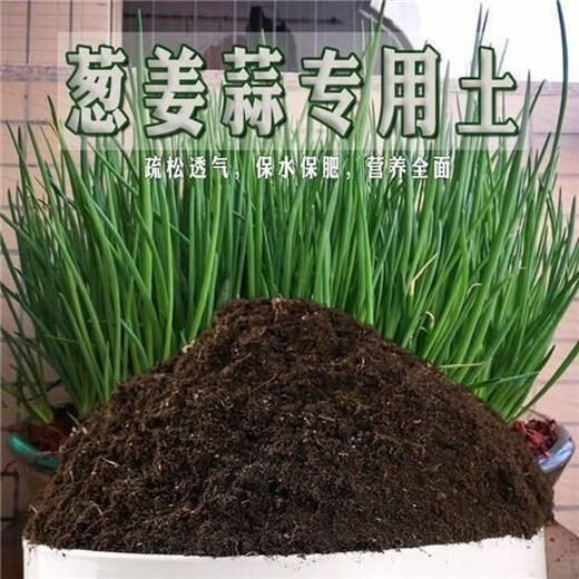 Onion, ginger, garlic, general soil cultivation, flower cultivation soil, nutrient soil, nursery soil, flowers, golden kudzu, special organic soil fertilizer, flower nutrient soil 30 Jin Jin equals 0.5 kg