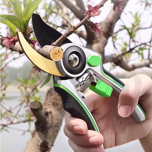 Jingxi Selected Pruning Shears for Home Gardening, Powerful and Labor-saving Thick Branch Scissors, Gardening and Floral Scissors, Upgraded Soft-coated Rubber Handle Pruning Scissors and Fruit Thinning Scissors.