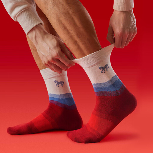 Pami's zodiac year socks men's autumn and winter warm mid-calf socks 2026 Year of the Horse red socks New Year's gift cotton socks Year of the Horse good luck - Pack_ Year of the Horse red gift box 5 pairs One size fits all (suitable for sizes 39-44)