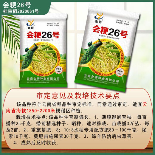 Original alpine rice seeds Huijing No. 26 high-altitude rice seeds conventional rice can be reserved for sowing rice Huijing No. 26 conventional rice seeds 2Jin Jin equal to 0.5 kg/1 bag