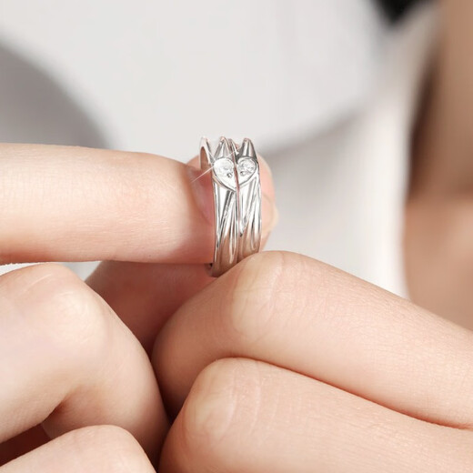 MZMZ Platinum Pair of Rings Concentric Couple Ring Pt950 Platinum Proposal, Birthday and Anniversary Gift for Girlfriend, Light Luxury Style-Everlasting Concentric Couple Pair of Rings