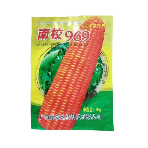 Asarum Guangxi Guizhou hard-grained corn seed Nanxiao 969 is suitable for sowing at an altitude of less than 800 meters and has strong resistance. Nanxiao 969 corn seed 2Jin Jin is equal to 0.5kg.