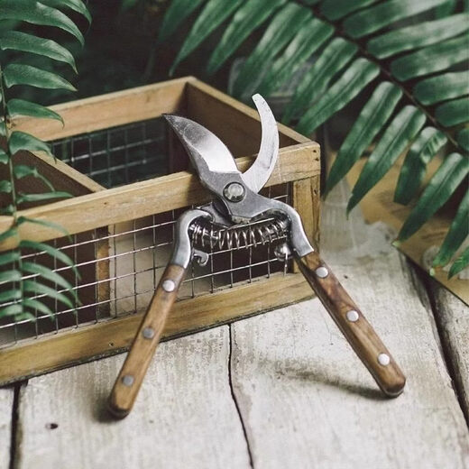 German high-quality gardening scissors, pruning shears, flower gardening and fruit tree pruning scissors, comfortable wooden handles, sharp and labor-saving scissors. Ash? Wooden handle pruning shears. High temperature quenching and extremely sharp. All-steel forged seconds.