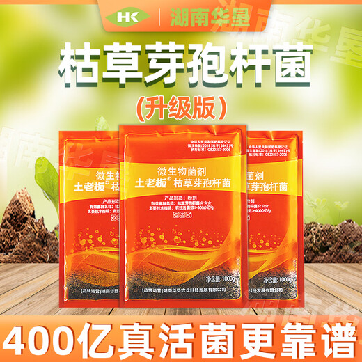 Tubo Boss Bacillus subtilis landwirtschaftlicher Mikroorganismusdünger Düngerprävention Spezial 1000g Tubo Boss Bacillus subtilis * 1 Packung