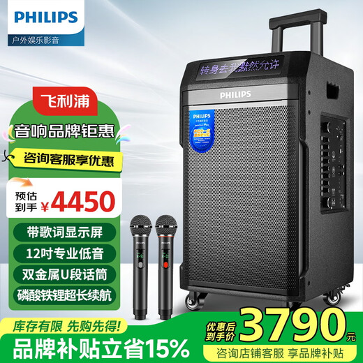 Philips square dance audio outdoor stage high-power mobile portable trolley commercial conference speaker wireless Bluetooth high volume karaoke amplification with dual microphone SD190 karaoke system + horn tweeter