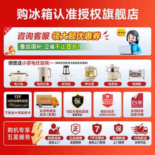 Rongsheng 501proIDP deodorizing French multi-door refrigerator dual-system dual-cycle refrigerator ultra-thin flat-mounted active sterilization first-level energy efficiency air-cooled frost-free national subsidy 501L dual system sterilization and deodorizing-BCD-501WD3MPZ