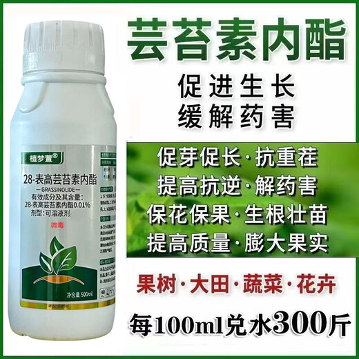 Genuine 28 epibrassinoids, internal lipids, rooting and strengthening seedlings, plants to regulate growth and increase yields, foliar fertilizers, pesticides, whole box wholesale, brassinoids 1000g, 2 bottles