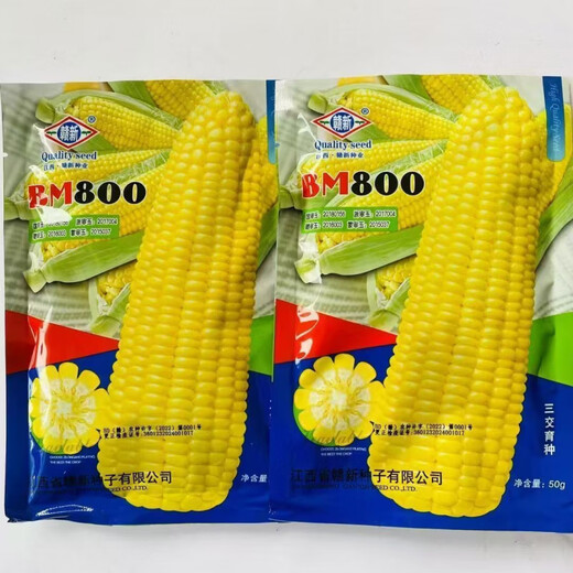 Super sweet fruit corn seeds BM800 new milk fragrant raw fresh food four seasons vegetables and fruits sweet corn seeds BM800 a pack of 50 grams