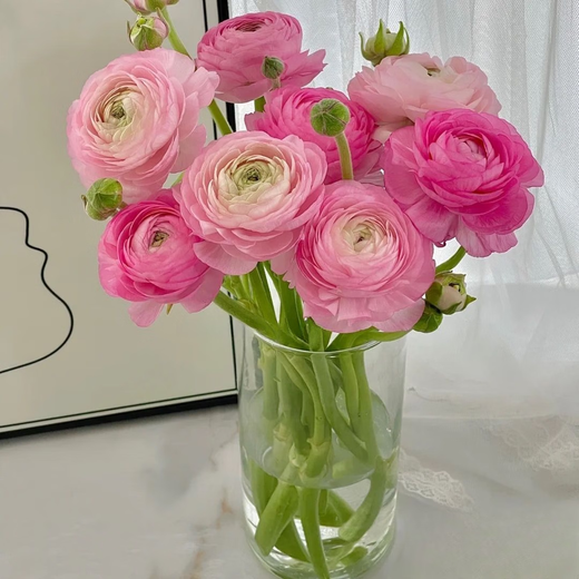 Peony Flowers Base Wholesale High-grade Peonies Fresh Cut Flowers Yunnan Fresh Flowers Bouquet Peonies Pink 10 Branches + Imported Preservative