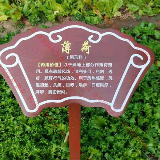 Customized solid wood Chinese herbal medicine brand introduction card, plant introduction card, ground brand, flower variety brand, tree science brand, style-14 (customizable content) 20.00x30.00cm