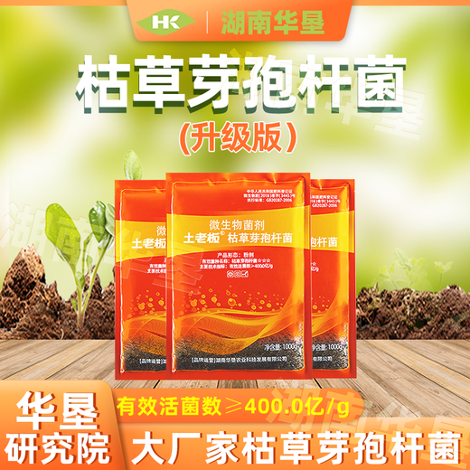 Tubo Boss Bacillus subtilis landwirtschaftlicher Mikroorganismusdünger Düngerprävention Spezial 1000g Tubo Boss Bacillus subtilis * 1 Packung