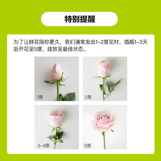 Carnation flowers Yunnan base straight hair Goddess Day gift bouquet multi-color flowering period long Chinese Valentine's Day gift 3 random color roses 10