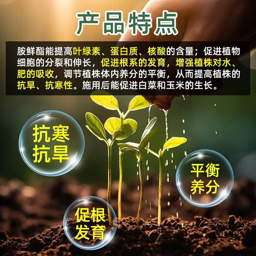 Quanfeng Fulcrum 8% Aminobutyl Citrate Plant Regulates Growth of Tomato Tomatoes Increases Production of Aminobutyl Ester 10g*100 Bags 124 Yuan