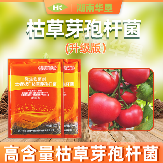 Tubo Boss Bacillus subtilis landwirtschaftlicher Mikroorganismusdünger Düngerprävention Spezial 1000g Tubo Boss Bacillus subtilis * 1 Packung