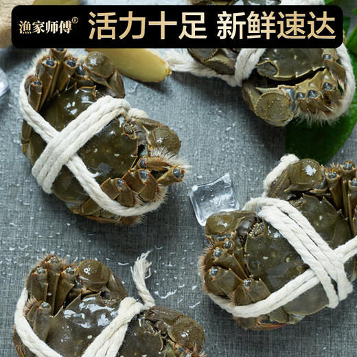 Live Crab Fisherman's Master Hairy Crab Whole Female 3.0-3.3 Liang 8 Pieces Full Weight Fresh Crabs with Rope Removed in Stock Fresh Aquatic Seafood Gift Box