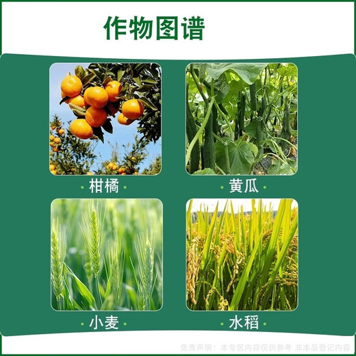 Priority Dayaomanyuan 0.01% 24-epibrassinolide cucumber plant growth regulator to cultivate strong seedlings 500g 3 bottles