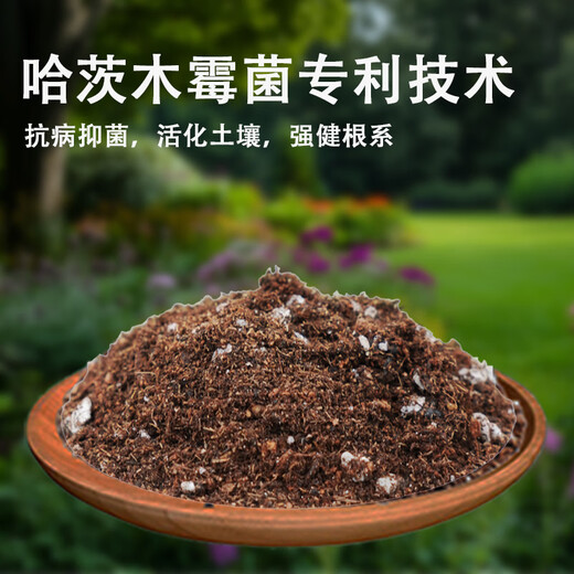 Mongolian grass provenance nutritional soil coconut bran soil volcanic stone flower soil meaty sheep dung soil Phalaenopsis peat Clivia planting soil coconut shell 2.5kg universal 12L