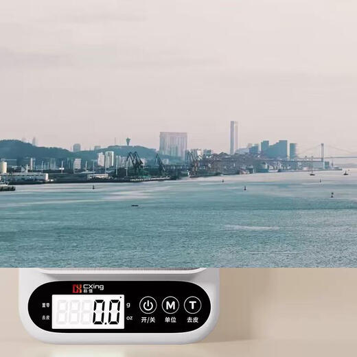 Yusenyi high-precision food weighing scale electronic scale kitchen household baking special small new food scale stainless steel (high accuracy 0.1g3kg) battery model-5 great gifts