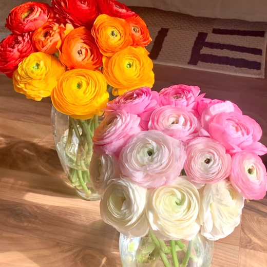 Peony Flowers Base Wholesale High-grade Peonies Fresh Cut Flowers Yunnan Fresh Flowers Bouquet Peonies Pink 10 Branches + Imported Preservative