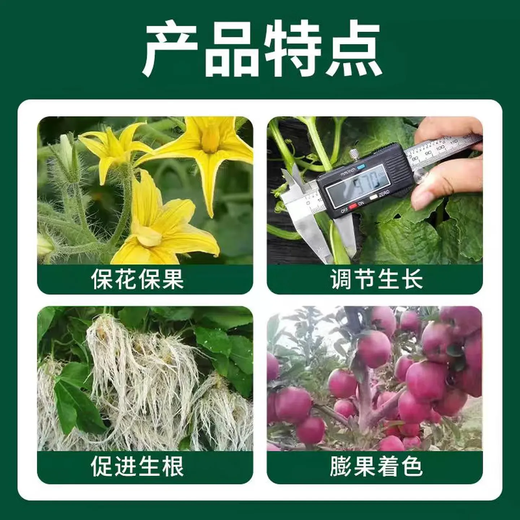 Zheng's Chemical 98% Sodium Nitrophenolate Original Powder Genuine Rooting, Strengthening Seedlings and Increased Yield Agricultural Flower and Fruit Preserving Plant Growth Regulator Quanfeng 98% Ammonium Ester 5KG