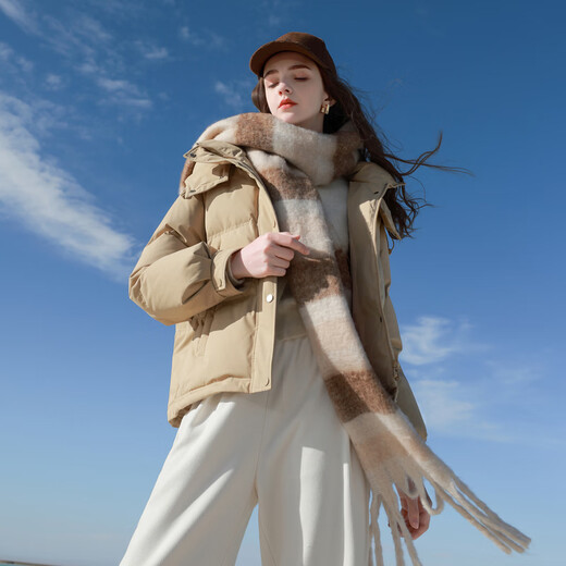 Sancai-Chaqueta de plumón corta con cuello levantado para mujer, chaqueta de pan con plumón de pato blanco, chaqueta holgada y cálida, novedad de invierno 2025