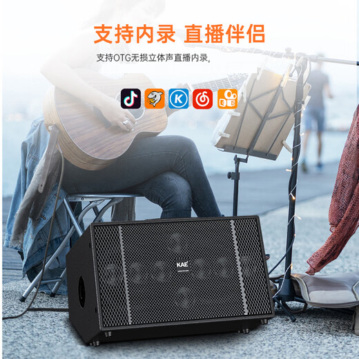 KAEK8 outdoor performance audio high-power musical instrument playing and singing live broadcast internal recording professional karaoke electric guitar blowpipe speaker K8 black deluxe version (500w)
