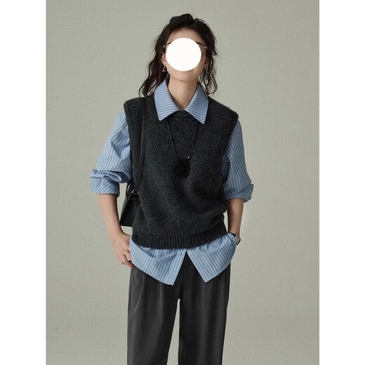 Fei Yao blue striped shirt women's spring and autumn temperament professional commuting early spring layered long-sleeved loose versatile casual shirt blue striped shirt M