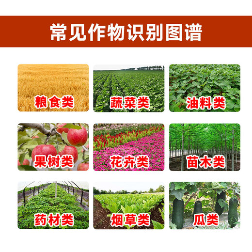 8% amine ester regulator, wheat cold resistance antifreeze, plant growth regulator to relieve phytotoxicity, vegetable damage, 8% amine ester 10g*20 bags