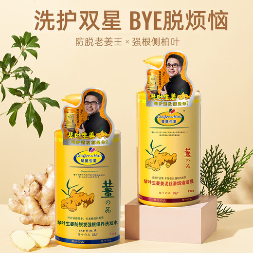 琴叶（Q&Y）侧柏叶生姜洗发水1000ml 经典P104 防脱育发 强根保养 韧发控油