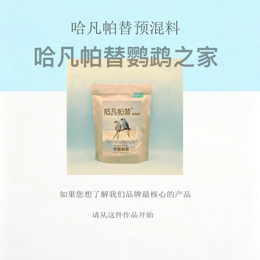 Havanpatil premix 100g