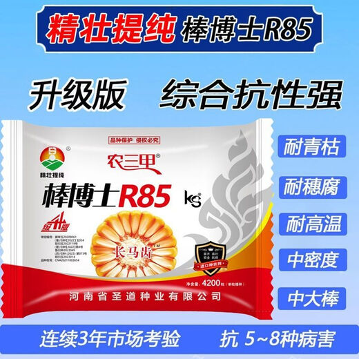 Dr. Stick R85ks corn seeds, high-yielding, short-stem, lodging-resistant, red-shaft corn seeds, disease-resistant and long-dented (Dr. Stick R85ks (pack of 14)