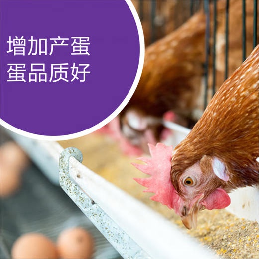 OIMGOI Venomycin multi-mineral veterinary trace element mineral premix livestock, poultry, aquatic, cattle and sheep feed agent 5kg/box