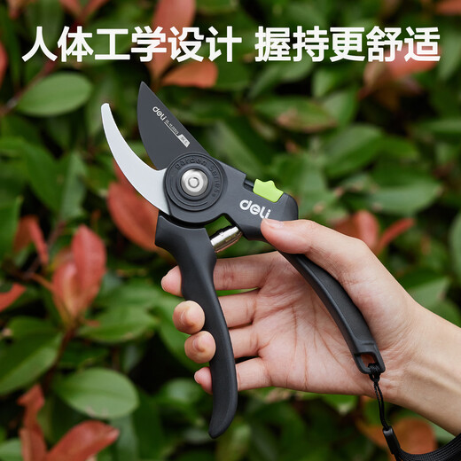 Deli fruit tree scissors, gardening scissors, labor-saving tree shears, garden potted flowers and trees, branch scissors, thick branch shears, fruit picking scissors, basic garden non-slip pruning shears