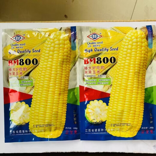 Super sweet fruit corn seeds BM800 new milk fragrant raw fresh food four seasons vegetables and fruits sweet corn seeds BM800 a pack of 50 grams