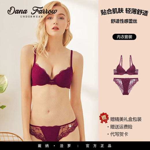 DANA FARROW new European and American sexy women's birth year underwear lace push-up adjustable bra set push-up comfortable bra blue 75B