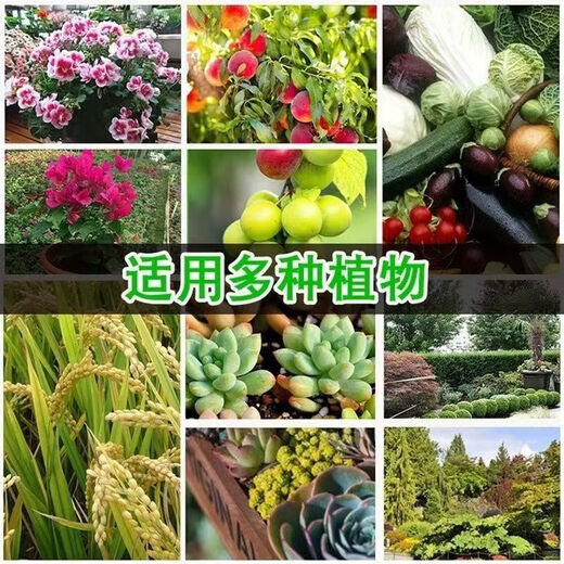 Chemical Fertilizer Stanley Compound Fertilizer Vegetables Nitrogen, Phosphorus and Potassium Universal Fertilizer for Gardening Vegetables Household Potted Fruit Trees Organic Compound Fertilizer Ziplock Bag Special Fertilizer for Fruits, Vegetables and Flowers <1Jin Jin is equal to 0.5kg>