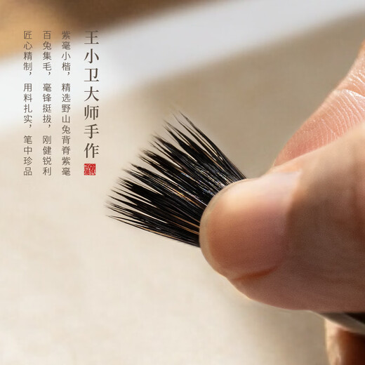 Bolígrafo Shanlianhu Ziying con escritura regular pequeña, juego de pinceles con escritura regular pequeña Zihao Langhao, cuatro tesoros del estudio, bolígrafo de caligrafía de calidad profesional para copiar sutras, escritura regular pequeña, cursiva pequeña, pintura china, caligrafía con línea de gancho, uso personal