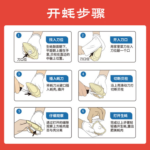 Fresh Jingcai Fresh Oysters 5XL Net weight 5Jin Jin is equal to 0.5kg 9-12 oysters, fresh to your home, fresh seafood, straight from the source