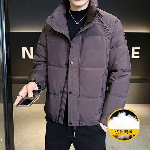 KBXNG劲霸冬季新款男士立领羽绒服短款潮流帅气上衣服加厚保暖防寒外套 紫色 M