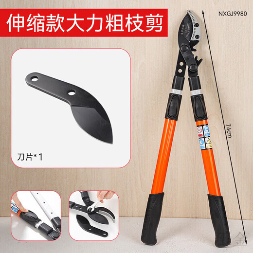 Hejian tribute branch scissors retractable shark mouth powerful scissors 5 garden fruit trees high branches strong thick branches pruning shears steel pipe non-retractable cut 6 cm