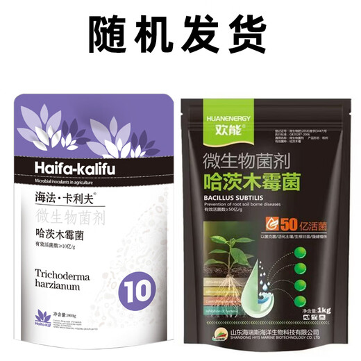 Haifa Trichoderma harzianum microbial agent in Haifa resists heavy cropping, prevents dead trees from root rot, takes root and inhibits soil-borne diseases