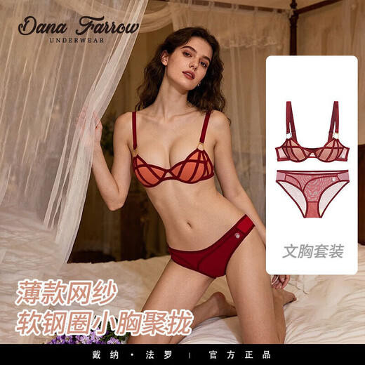 DANA FARROW brand 2026 new sexy underwear women's push-up small chest thin wide shoulder straps anti-sagging bra set for women red set 70A one size fits all