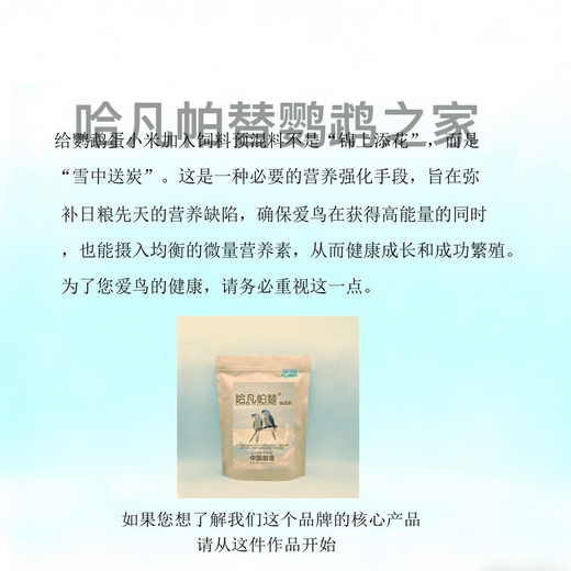 Havanpatil premix 100g