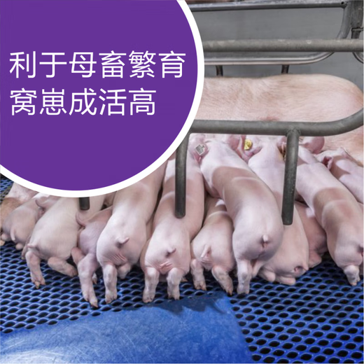 OIMGOI Venomycin multi-mineral veterinary trace element mineral premix livestock, poultry, aquatic, cattle and sheep feed agent 5kg/box