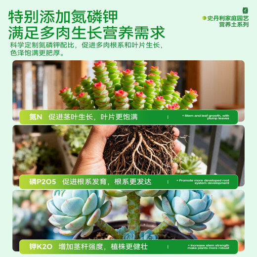 Stanley succulent soil special nutrient soil granular soil for succulent planting soil flower soil plant peat soil 5Jin Jin is equal to 0.5 kg
