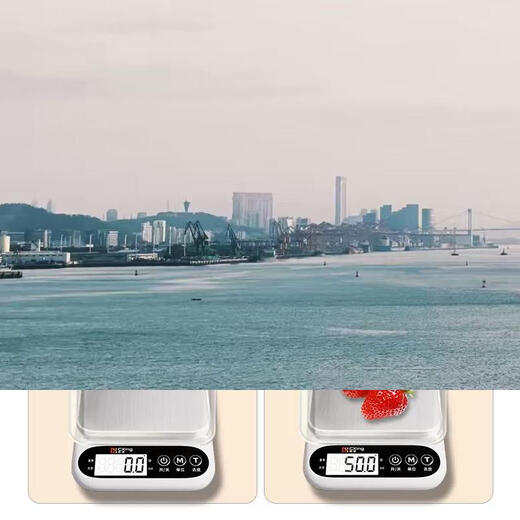 Yusenyi high-precision food weighing scale electronic scale kitchen household baking special small new food scale stainless steel (high accuracy 0.1g3kg) battery model-5 great gifts